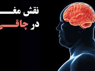 چاقی ممکن است مغز را برای همیشه تغییر دهد