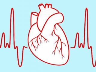 تاثیر پیاده‌روی و دویدن برقلب