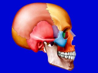 روش های جراحی بیماری های قاعده جمجمه