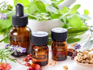 برای کاهش درد این گیاهان دارویی معجزه می کنند+نحوه تهیه و مصرف