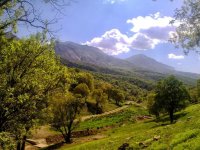 افزایش دو برابری دمای هوای؛ زاگرس در آستانه نابودی کامل!