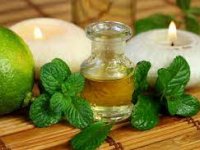 مواد غذایی ضد نفخ را بشناسید