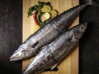 کدام ماهی‌ها مفیدترند؟ رتبه‌بندی سالم‌ترین و خطرناک‌ترین انتخاب‌های دریایی