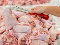 هر کیلو مرغ ۳۰ هزار تومان!