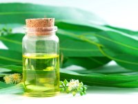 جلوگیری از پیری پوست با روغن اکالیپتوس