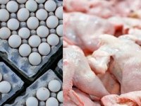 قیمت رسمی مرغ و تخم مرغ اعلام شد