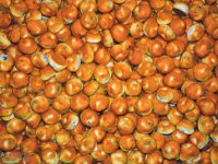 ناوساجی