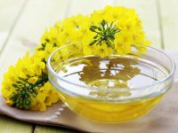 كانولا و كلزا؛ روغن‌های متفاوت