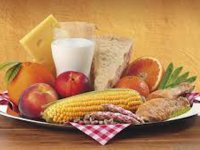 رژیم غذایی از دیدگاه ابوعلی سینا (2)