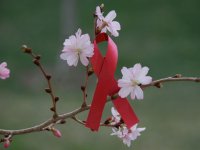 پیشگام در برابر گسترش ایدز (2)