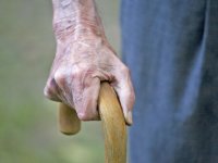 طب سالمندی  و ارزیابی جامع سالمندان (1)