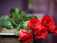 پدیده ای به نام عشق و محبت (2)