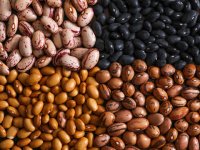 حبوبات د‌‌‌‌‌‌‌‌‌‌‌ر طب سنتی (2)