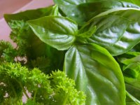 کاربرد گیاهان دارویی برای مصارف آرایشی و بهداشتی (1)