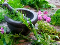 گیاهان دارویی و معطر (1)