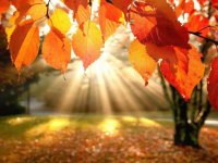 همواره عاشقانه زندگی كنید