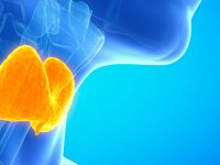 اختلالات تیروئید را با غذا کنترل کنیم