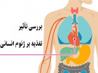 بررسي تأثیر تغذیه بر ژنوم انسانی