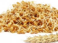 بچه ها را به خوردن جوانه‌ عادت دهید