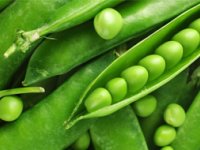 خوراک لوبیا سبز
