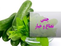 چتنی نعناع و خیار