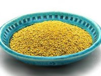 کشک زرد سیستانی  و سمونو یا تجگی- سیستان و بلوچستان