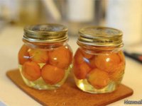مربای کامکوآت