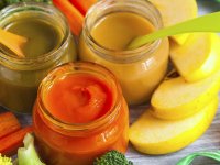 بهترین خوراکی های شیرخواران در سفر