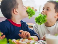 هشدارهای نوروزی به کودکان دیابتی