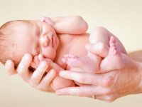مقررات و شرایط اهداء جنین به زوجین ناباور