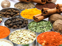 شکم صاف کن های گیاهی را بشناسید!