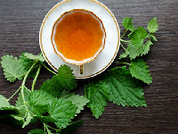 گیاه گزنه ؛ معجزه ای برای درمان پوکی استخوان