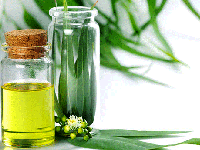 معجزه  روغن اکالیپتوس برای سلامتی و پوست و مو