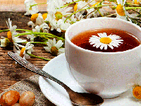 با یک گیاه عجیب و پرخاصیت آشنا شوید!