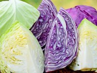 خواص غذایی بی شمار  كلم