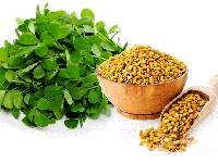 خواص اعجاب انگیز دانه شنبلیله