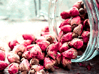 خواص دارویی فوق العاده گل محمدی