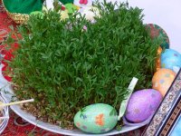 بسته موضوعی 128: خودتان سبزه عید را سبز کنید
