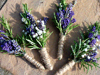 نسخه گیاهی برای درمان آلزایمر