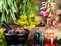 گیاهان دارویی چربی سوز در طب سنتی
