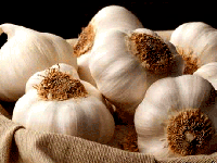 چگونه با مصرف سیر لاغر شویم؟