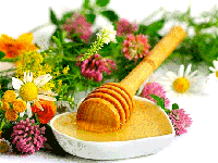 خواص درمانی عسل جعفری