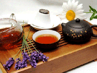 آویشن ؛ گیاهی جادویی از دل طبیعت