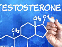 چطور با روش های طبیعی تستوسترون بدنمان را افزایش دهیم؟