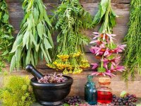 قابل توجه خانم های باردار و شیر‌ده: در مصرف گیاهان دارویی احتیاط کنید