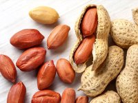 آیا شما هم به بادام‌زمینی حساسیت دارید؟