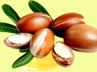 روغن آرگان؛ معجزه طبیعت