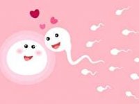استفاده از کیت تخمک گذاری برای دختردار شدن