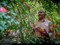 زیبایی های روستای ژیوار در کردستان