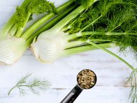 با معجزه گیاه رازیانه آشنا شوید